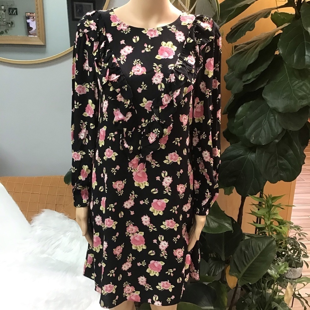 Zara floral long sleeve dress NWT